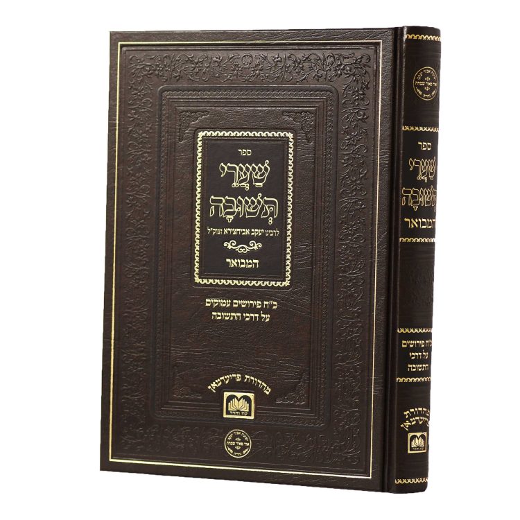 שערי תשובה על ענייני תשובה