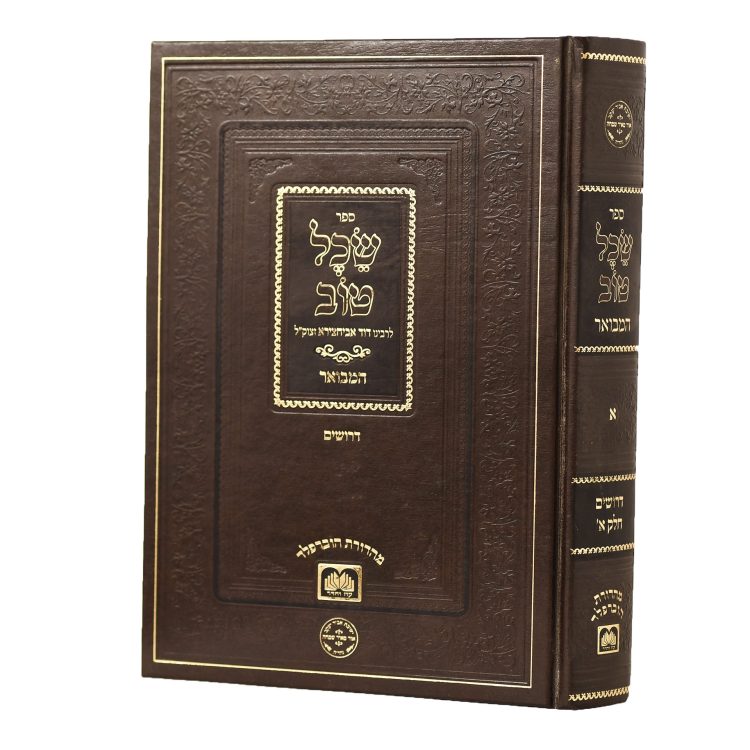 שכל טוב דרושים - חלק א'