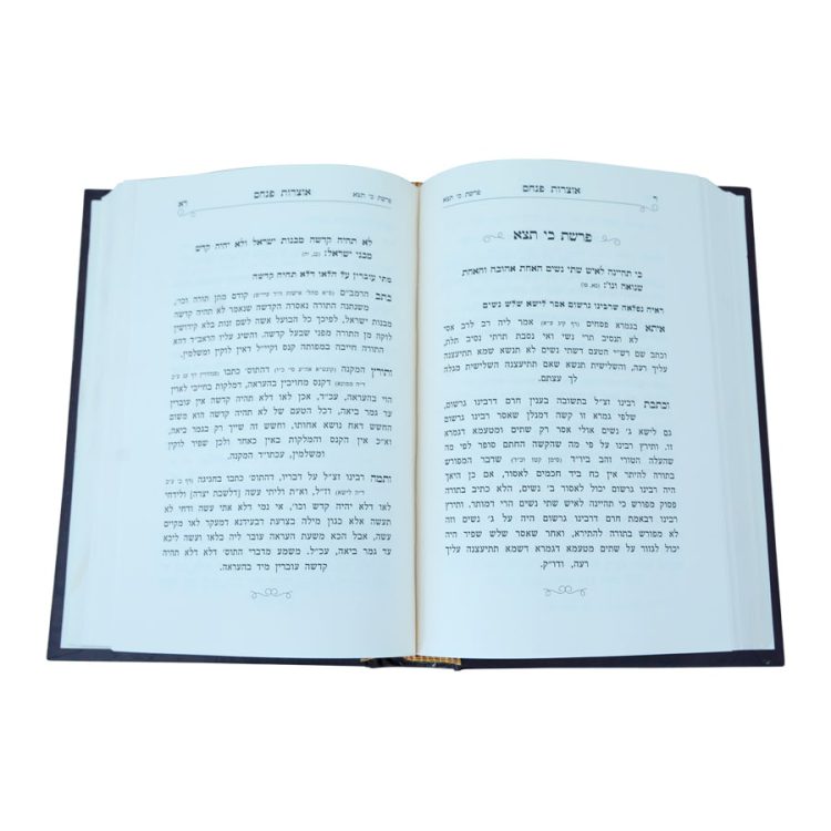 ⁦<b>אוצרות פנחס </b><br>על התורה⁩ – תמונה ⁦2⁩