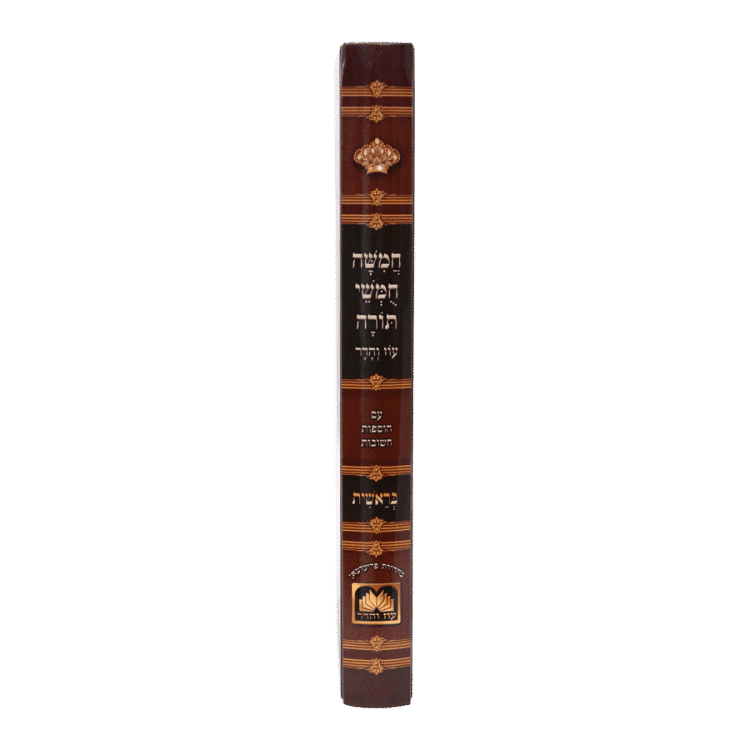 ⁦חומש תלמידים עם תמונות בראשית⁩ – תמונה ⁦4⁩