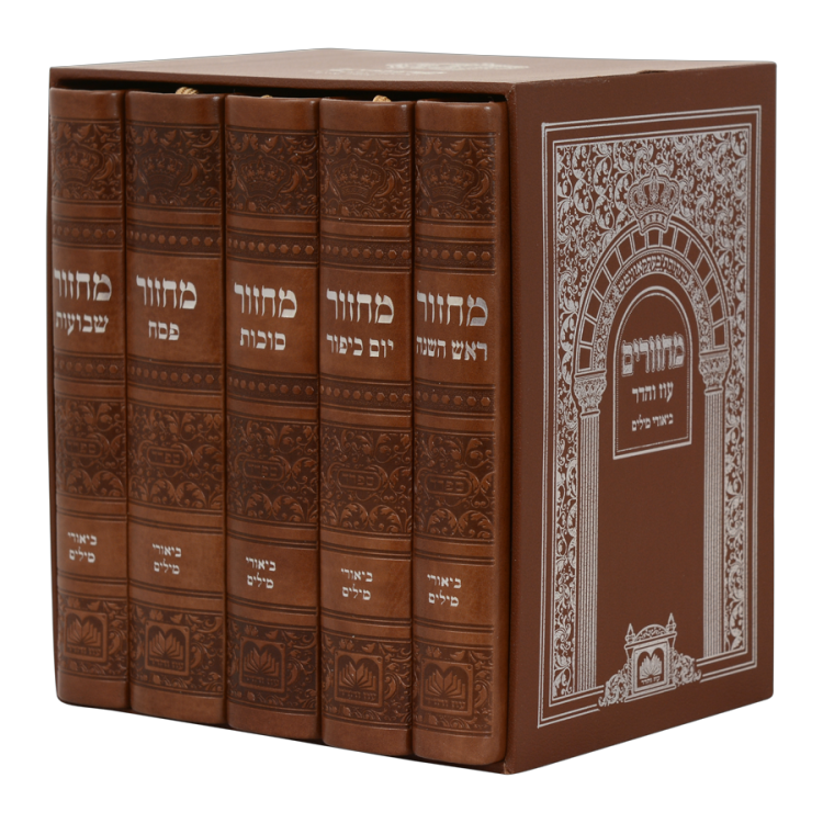 <b>סט 5 מחזורים </b><br> ספרד חום בהיר