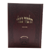 ⁦סוכה תלמידים בורדו בלי מפרשים⁩ – תמונה ⁦3⁩