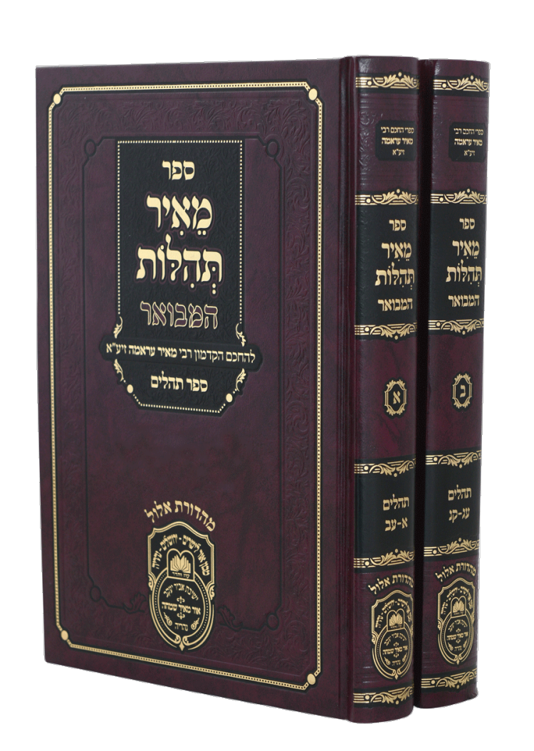 <b>מאיר תהילות</b><br>המבואר