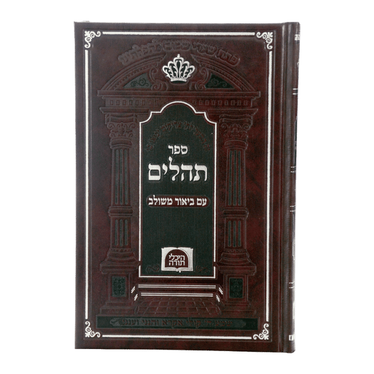 ⁦תהילים עם ביאור משולב⁩ – תמונה ⁦3⁩