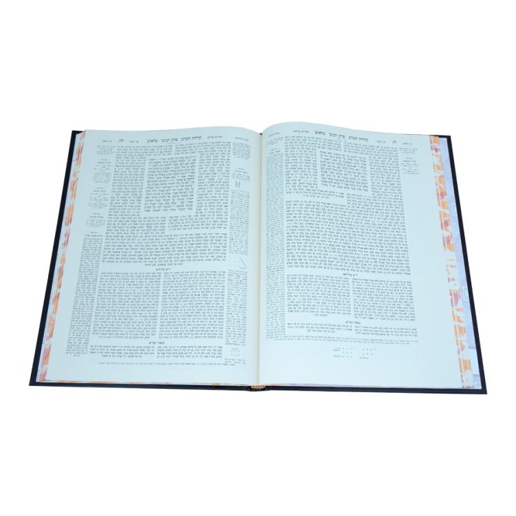 ⁦ירושלמי חום כלאים⁩ – תמונה ⁦2⁩