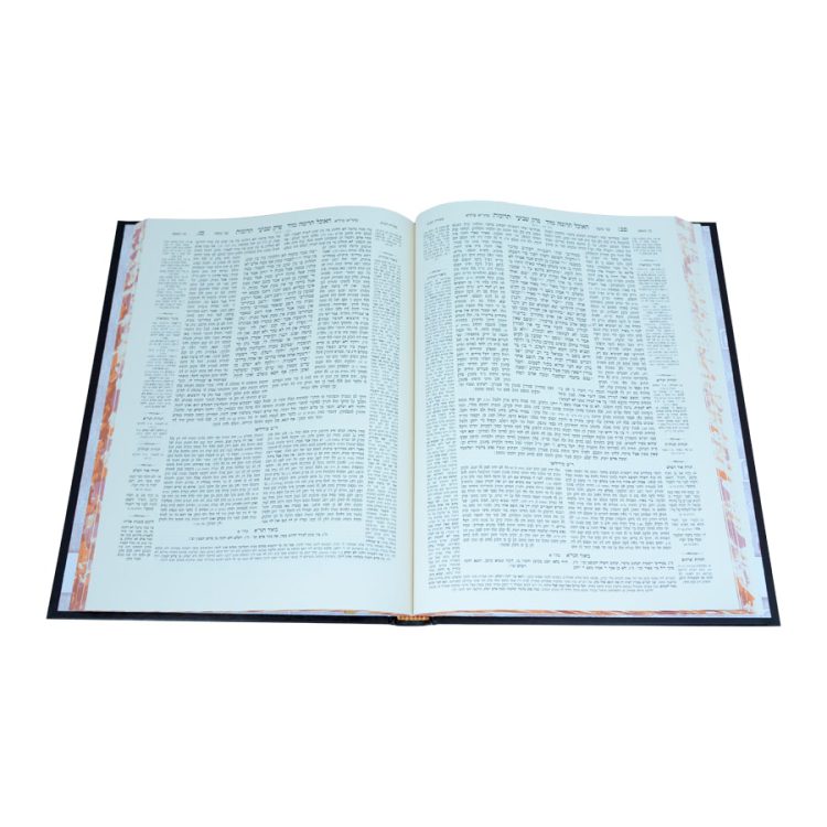 ⁦ירושלמי חום תרומות⁩ – תמונה ⁦2⁩
