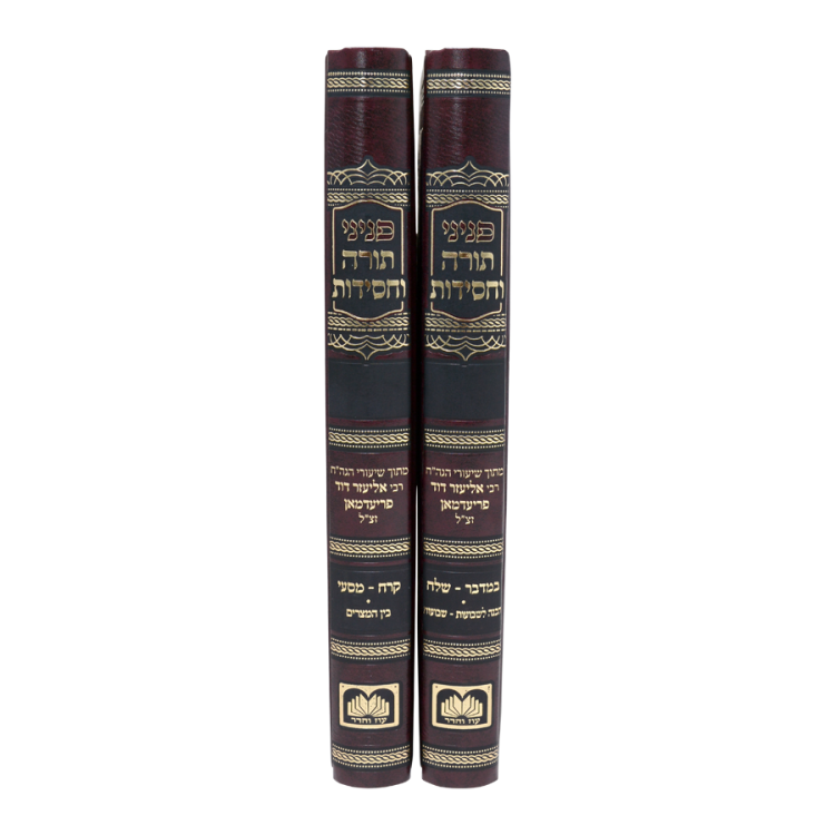 ⁦פניני תורה וחסידות במדבר (2 כרכים)⁩ – תמונה ⁦2⁩