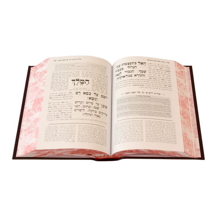 ⁦סט 5 מחזורים מתיבתא סקאי (17 ס"מ) ספרד⁩ – תמונה ⁦6⁩