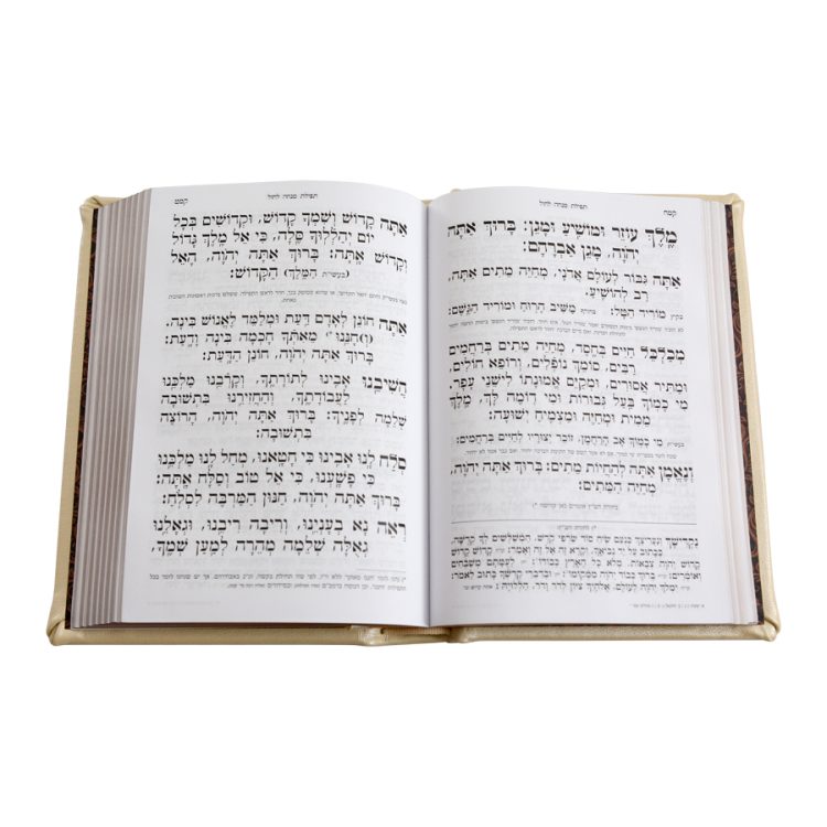 ⁦סידור עור הגיון ליבי חמדה (ריבועים)⁩ – תמונה ⁦9⁩