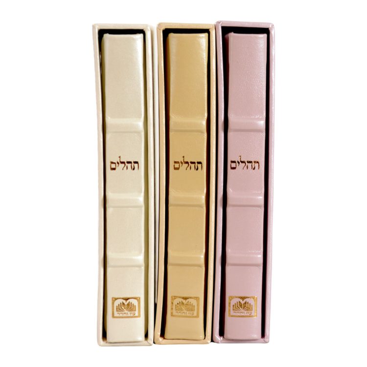 ⁦תהילים עור הגיון ליבי חמדה (ריבועים)⁩ – תמונה ⁦2⁩