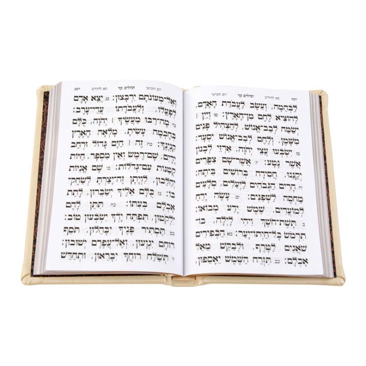 ⁦תהילים עור הגיון ליבי תפארת (אלכסון)⁩ – תמונה ⁦10⁩