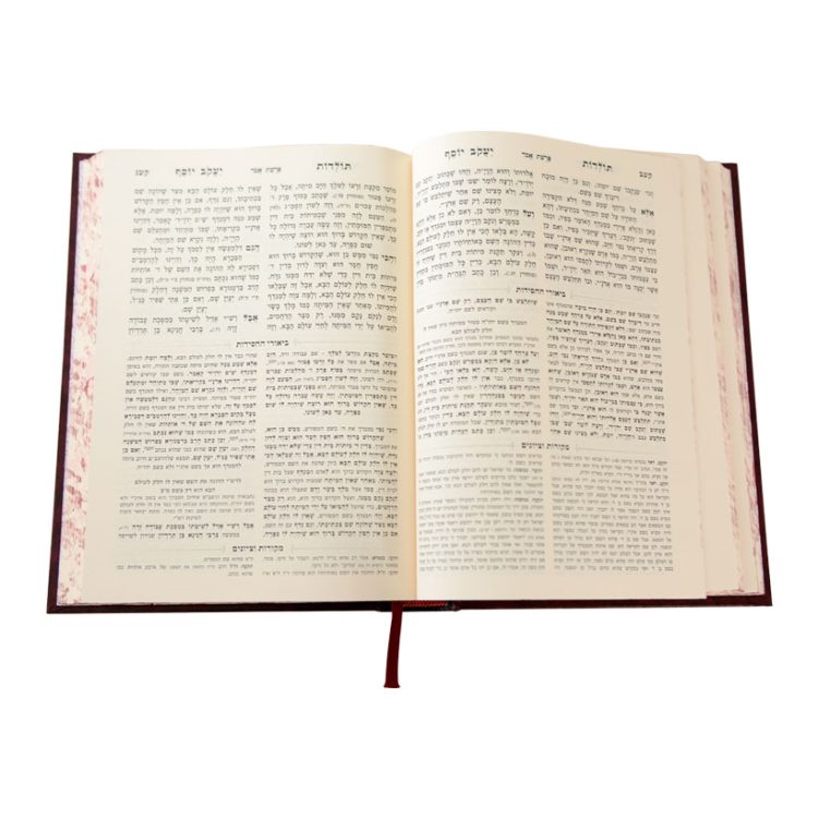 ⁦תולדות יעקב יוסף ב. משולב ויקרא ב (אמור-בחקותי)⁩ – תמונה ⁦3⁩