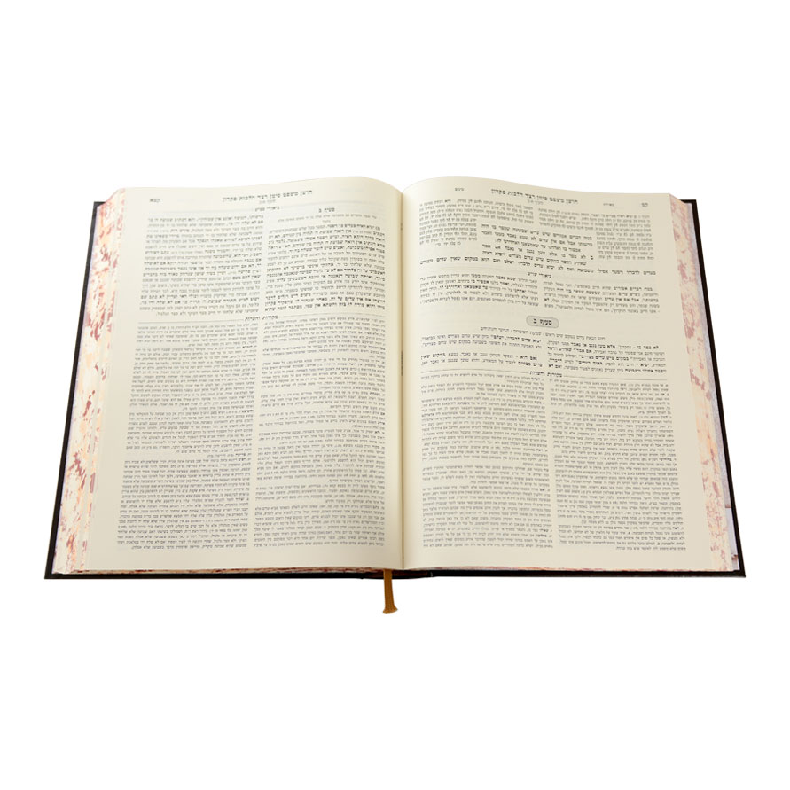 שוע מתיבתא חו"מ אפוטרופוס פקדון (רצ-שב) – תמונה 3