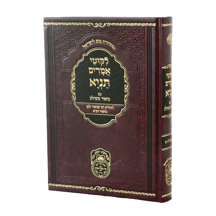 תניא ביאור משולב ו (פרקים לז-מ)