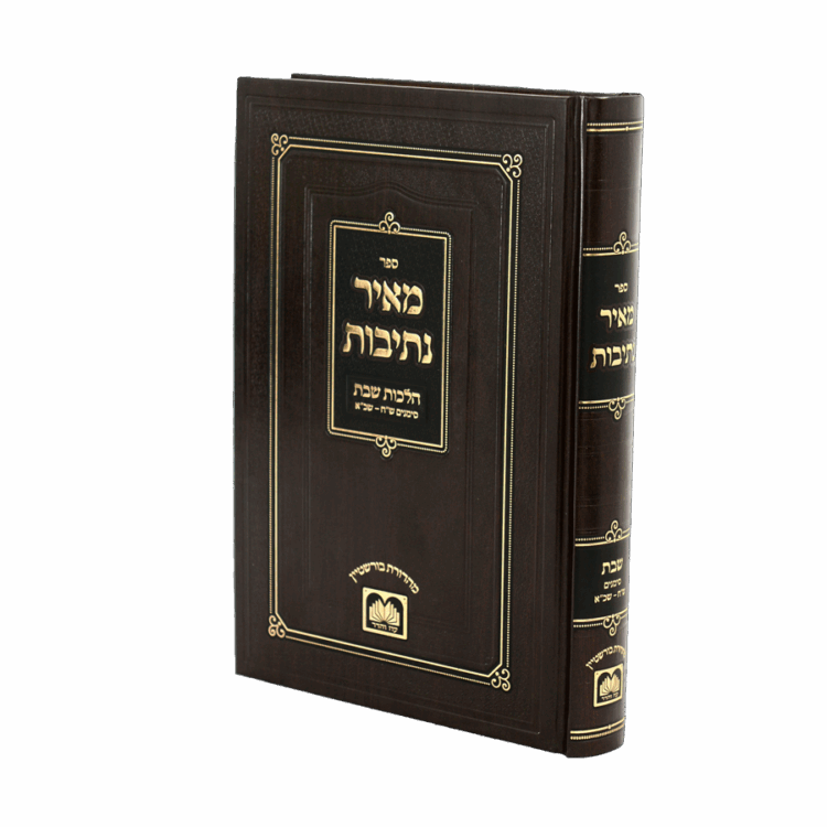 מאיר נתיבות הלכות שבת (ש"ח שכ"א)